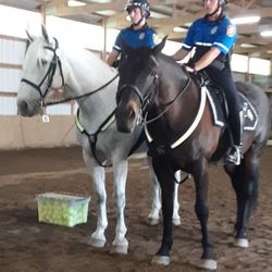 Mounted Unit - Officer Aidan (l) and Officer Bishop (r)