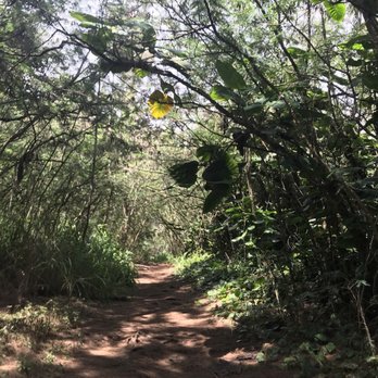 Laie Falls - Hiking Near Me