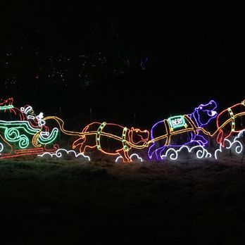 Denver Zoo Lights - Festivals Near Me - Denver, Colorado