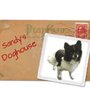 Photo of Sandy's Dog House