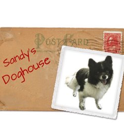 Sandy's Dog House - Crazy