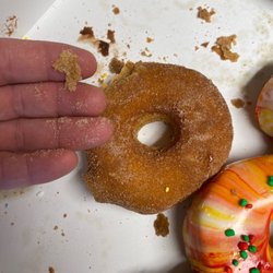 Moonrise Donuts - Chunks of cinnamon and sugar