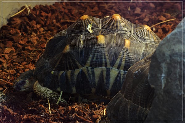 Parc zoologique de Paris by null