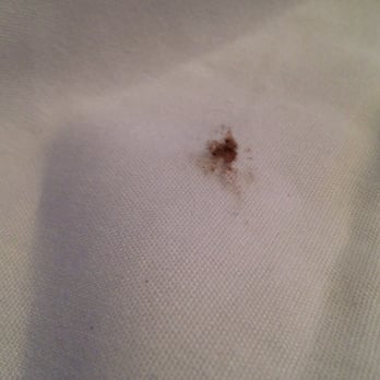 Texas Roadhouse - Dust bunny inside my folded napkin.. - Barbeque Near Me - Tracy, California Texas Roadhouse - Dust bunny inside my folded napkin.. - Barbeque Near Me - Tracy, California