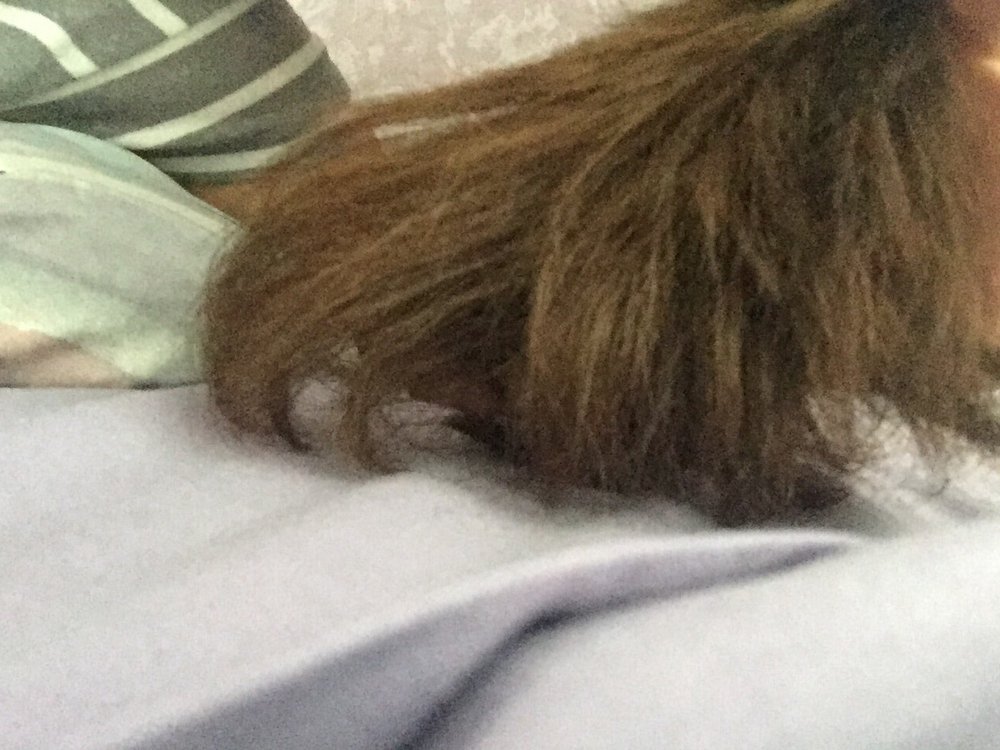 LEMON TREE Updated October 2024 251 Talmadge Rd, Edison, New Jersey