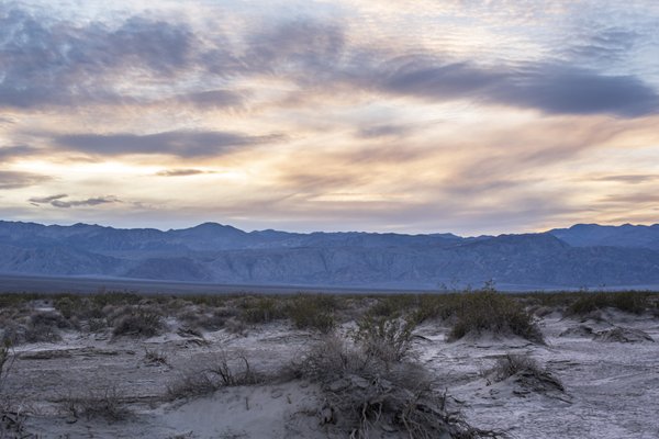 Mesquite Spring Campground by null