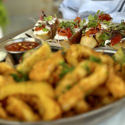 Cotto Modern Italian - Bruschetta and Fritto Misto