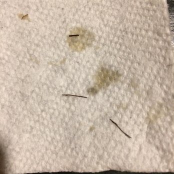 PanPan Wok - Insect legs in my food. So disgusting. - Chinese Near Me - Oceanside, California
