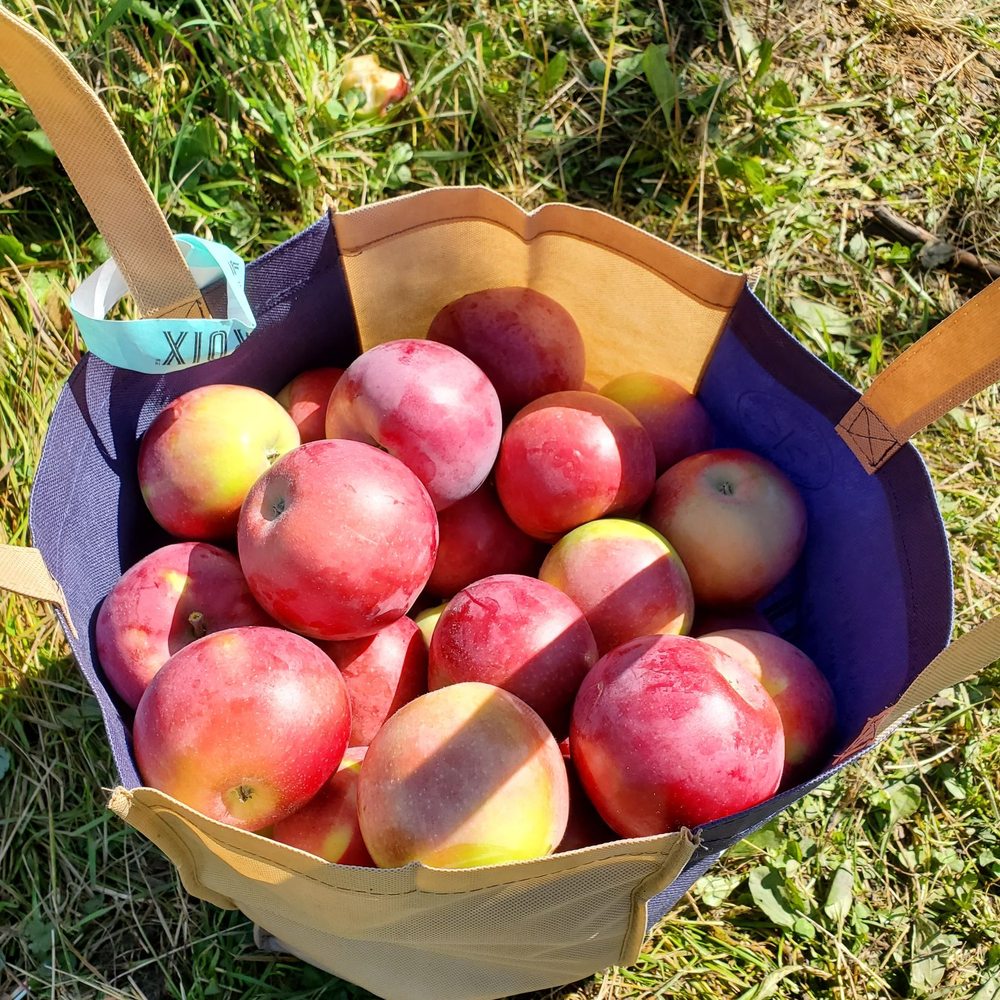 Cidrerie Lacroix - Cideries Near Me - Saint-Joseph-du-Lac, Quebec Cidrerie Lacroix - Cideries Near Me - Saint-Joseph-du-Lac, Quebec