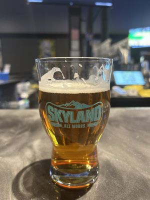 Skyland Ale Works by null