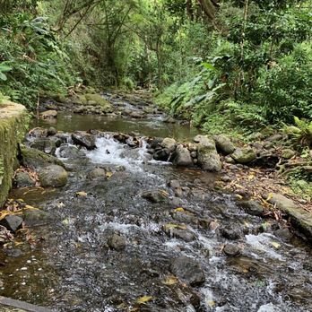 Hamama Falls - Little waterfall before hamama - Hiking Near Me - Kaneohe, Hawaii Hamama Falls - Little waterfall before hamama - Hiking Near Me - Kaneohe, Hawaii