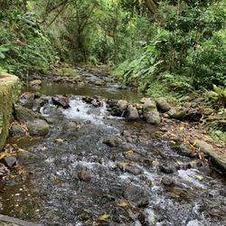 Hamama Falls - Little waterfall before hamama