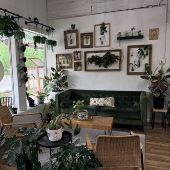 Habitat Plants + Coffee - Coffee & Tea Near Me - McKinney, Texas Habitat Plants + Coffee - Coffee & Tea Near Me - McKinney, Texas
