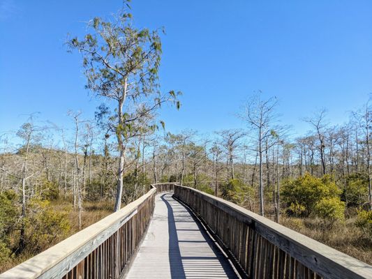 Kirby Storter Roadside Park by null