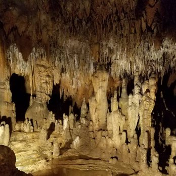 Florida Caverns State Park - Parks Near Me - Marianna, Florida