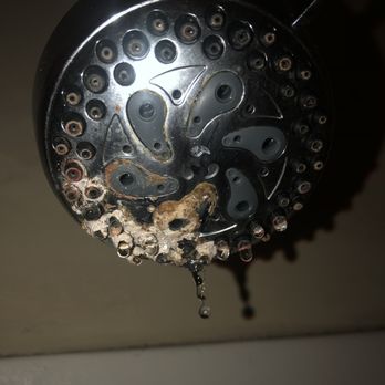 The Lofts At 525 - Shower head with built up minerals and filth - Apartments Near Me - Shillington, Pennsylvania The Lofts At 525 - Shower head with built up minerals and filth - Apartments Near Me - Shillington, Pennsylvania