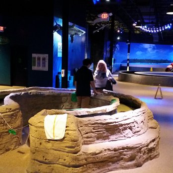 Via Aquarium - There's even a petting pool. - Aquariums Near Me - Schenectady, New York Via Aquarium - There's even a petting pool. - Aquariums Near Me - Schenectady, New York