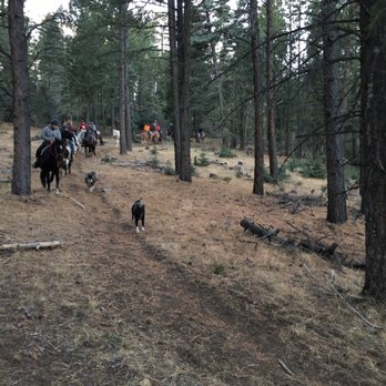 Roadrunner Tours - Tours Near Me - Angel Fire, New Mexico