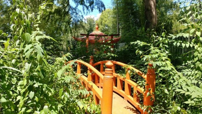 Social spots from Wells Japanese Garden