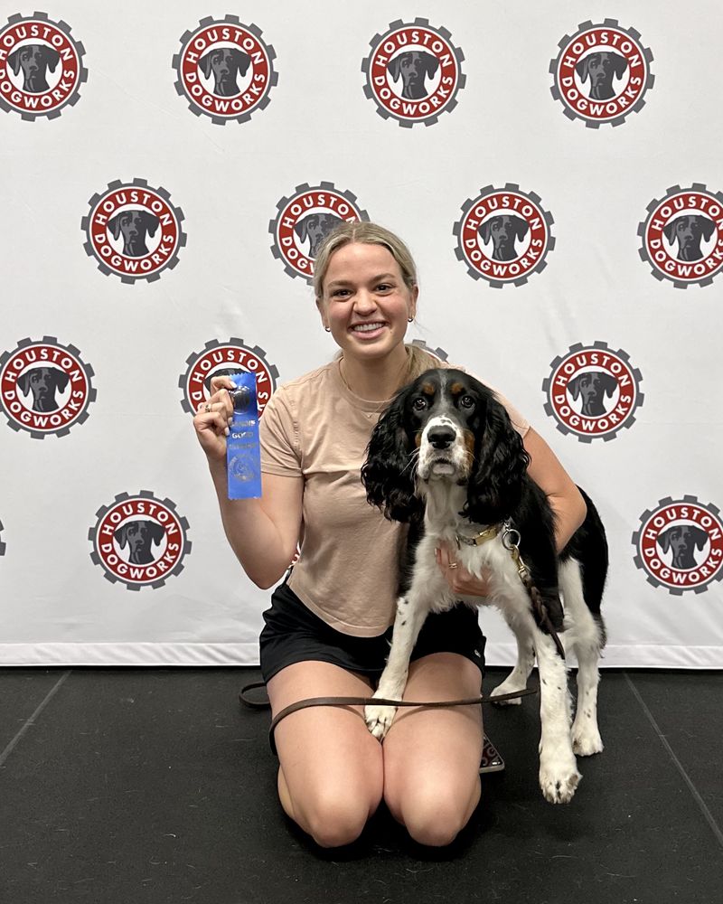 Houston DogWorks - pet boarding facility in Houston, TX