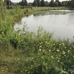 Oakwood Park - Fishing