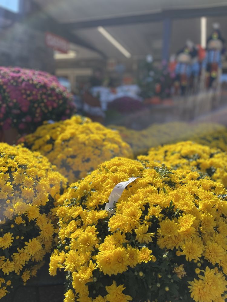 THE GARDEN DEPT Updated September 2024 47 Photos & 29 Reviews