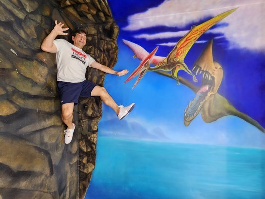 Museum of Illusions by null