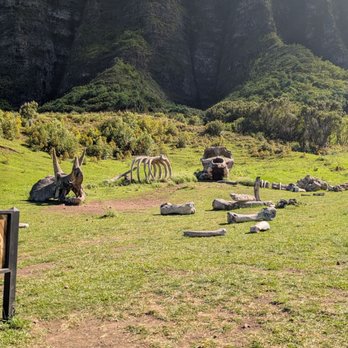 Kualoa Ranch - Tours Near Me - Kaneohe, Hawaii