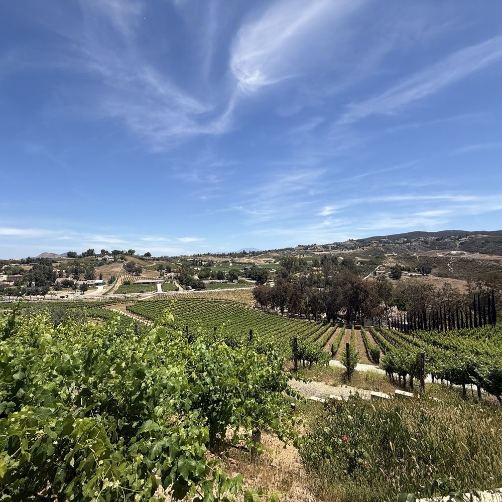 Oak Mountain Winery - Wineries Near Me - Temecula, California