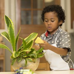 Preston Ridge Montessori