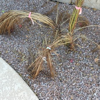 Jakescape - Landscaping Near Me - Chandler, Arizona