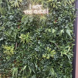 The Xperience Coffee House & Juice Bar