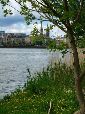 Parc aux Angéliques by null