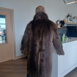 Morris Furs