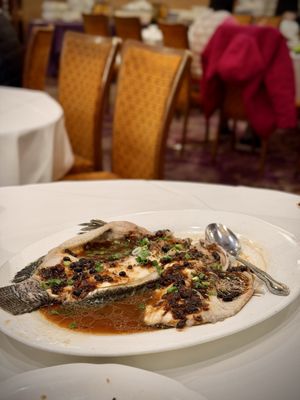 凱悦 Grand Harbor by null