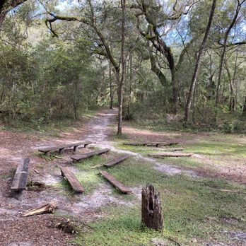 Crews Lake Wilderness  Park - Parks Near Me - Spring Hill, Florida