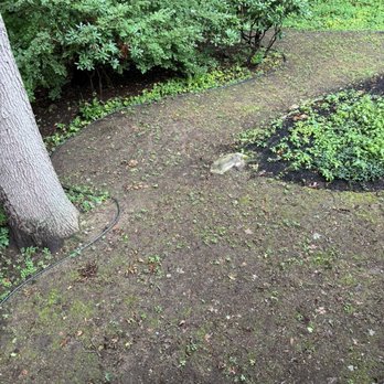 The Pros - Failed Backyard after The Pros added dirt and seeded - Landscaping Near Me - Lynn, Massachusetts