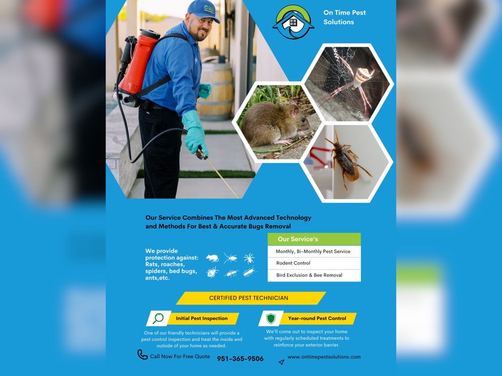 ON TIME PEST SOLUTIONS Updated May 2024 61 Photos Winchester