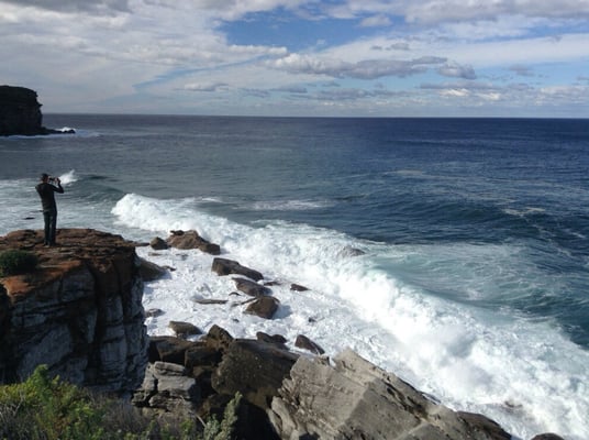Royal National Park by null