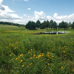 MacLennan Park Trail