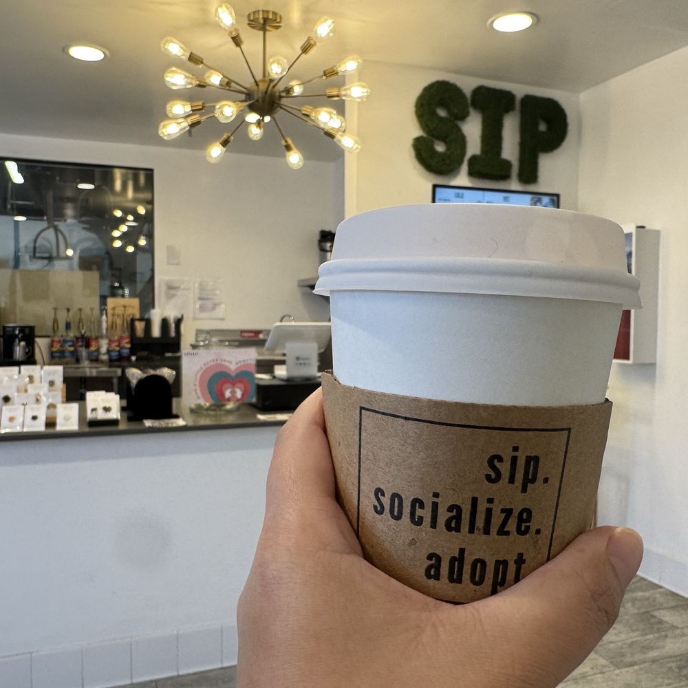 CatCafe Lounge - Sip. Socialize. Adopt. - Community Service/Non-Profit Near Me - Marina del Rey, California CatCafe Lounge - Sip. Socialize. Adopt. - Community Service/Non-Profit Near Me - Marina del Rey, California