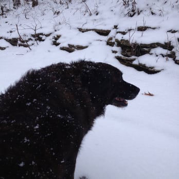 Kankakee River State Park - Hiking with my hound - Parks Near Me - Bourbonnais, Illinois