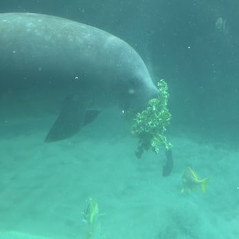 Columbus Zoo and Aquarium - Zoos Near Me - Powell, Ohio