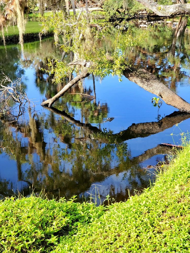 CAMP VENICE RV RESORT Updated October 2024 13 Photos 4085 E