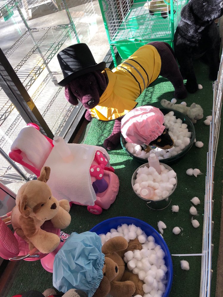 An Jan Feed Pet Supply 14 Photos 47 Reviews Pet Stores 1109 Branham Ln Cambrian Park San Jose Ca Phone Number Yelp