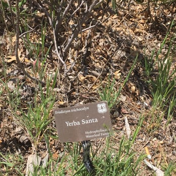 Baylis Park - Plants - Parks Near Me - Rimforest, California