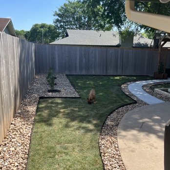 Best Quality Tree And Lawn Services - a dog in the yard - Tree Services Near Me Best Quality Tree And Lawn Services - a dog in the yard - Tree Services Near Me