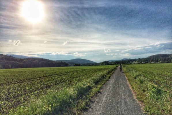 Lamoille Valley Bike Tours by null