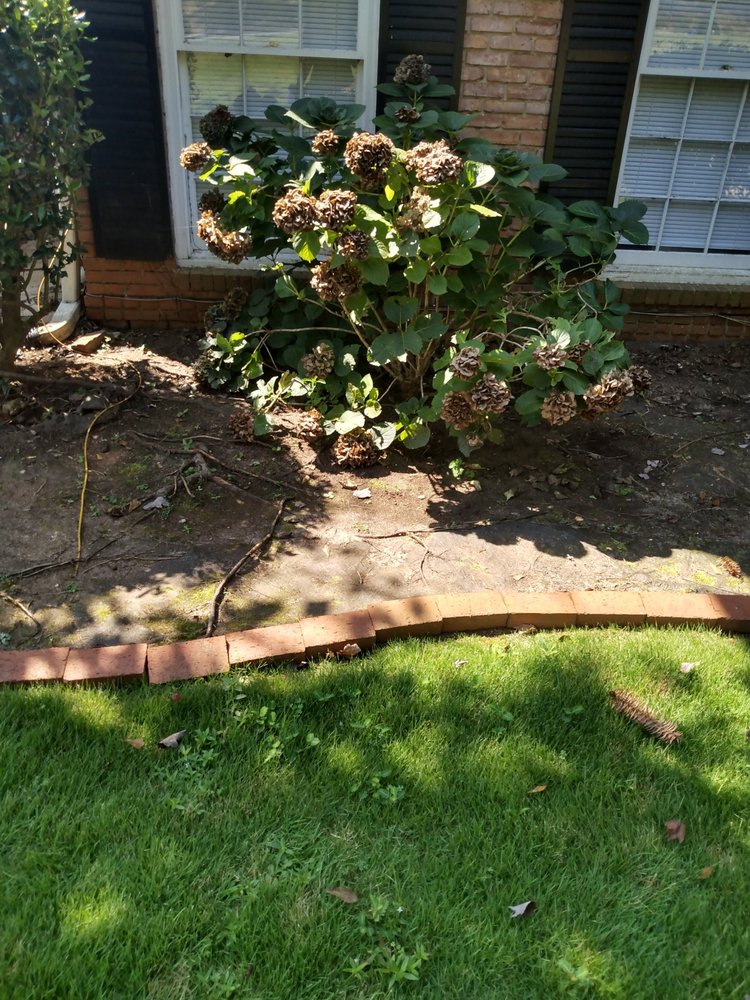 TOP OF THE LINE LANDSCAPING Updated May 2024 Request a Quote 12