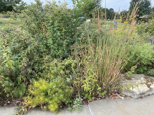 Anita B. Gorman Conservation Discovery Center by null